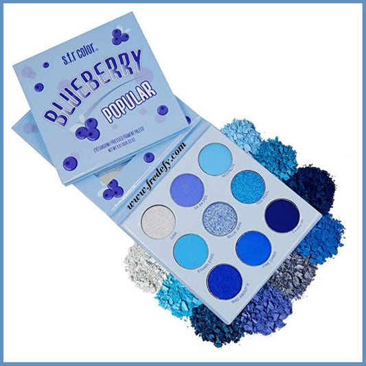 Blueberry Popular Eyeshadow Palette-Fredefy